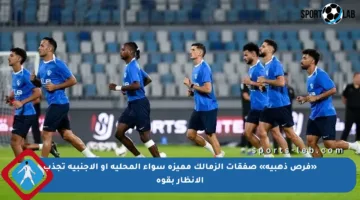 «فرص ذهبية» صفقات الزمالك مميزة سواء المحلية أو الأجنبية تجذب الأنظار بقوة